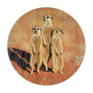 Niedliche Kleintiere   3 Meerkatze Schneidebrett