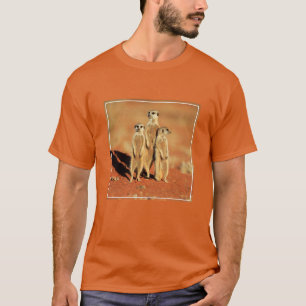 Niedliche Kleintiere 3 Meerkatze T-Shirt