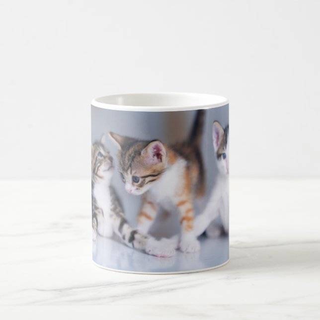 Niedliche Kleintiere | 3 Tabby Kittens Kaffeetasse (Mittel)