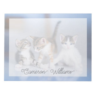 Niedliche Kleintiere   3 Tabby Kittens Notizblock