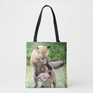 Niedliche Kleintiere Adorable Fox Kit & Mama