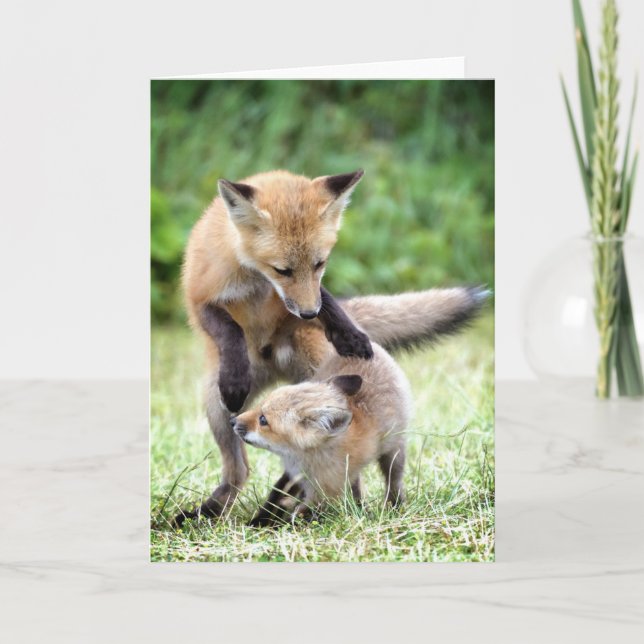 Niedliche Kleintiere | Adorable Fox Kit & Mama Karte (Vorderseite)