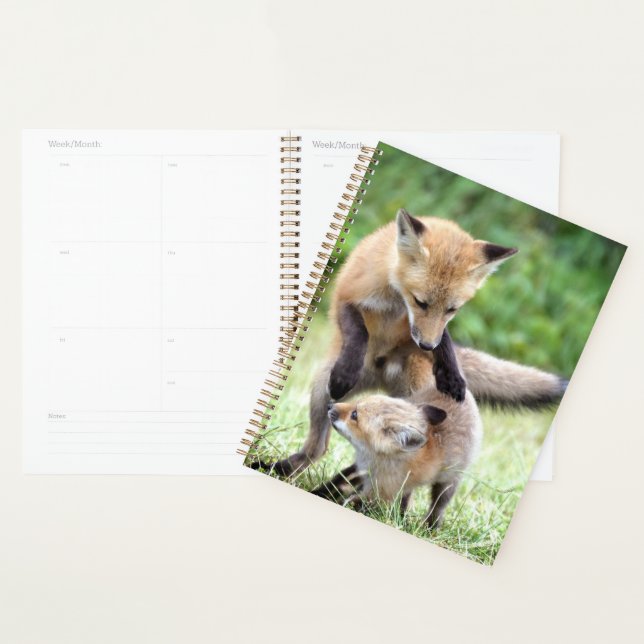 Niedliche Kleintiere | Adorable Fox Kit & Mama Planer (Anzeige)