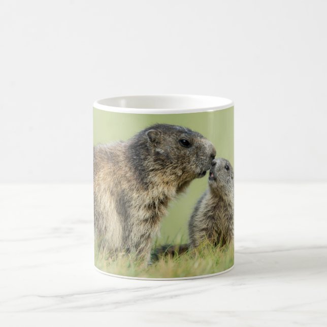 Niedliche Kleintiere | Alpenmarmot Kaffeetasse (Mittel)