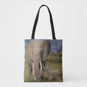 Niedliche Kleintiere Amama Elefant mit Baby