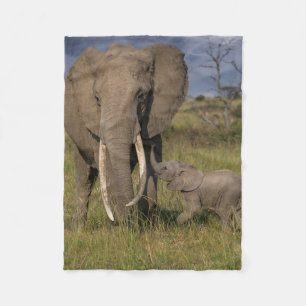 Niedliche Kleintiere   Amama Elefant mit Baby Fleecedecke