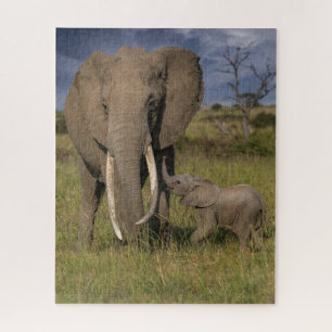 Niedliche Kleintiere   Amama Elefant mit Baby Puzzle