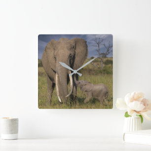 Niedliche Kleintiere Amama Elefant mit Baby Quadratische Wanduhr
