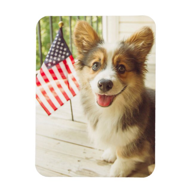 Niedliche Kleintiere | American Flag Corgi Magnet (Vertikal)