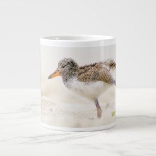 Niedliche Kleintiere American Oystercatcher Chic Jumbo-Tasse