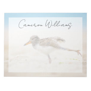 Niedliche Kleintiere   American Oystercatcher Chic Notizblock