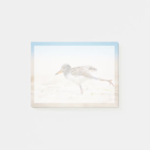 Niedliche Kleintiere American Oystercatcher Chic Post-it Klebezettel