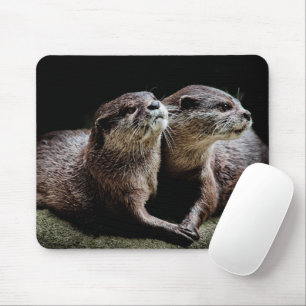Niedliche Kleintiere   Andere Haltevorrichtungen Mousepad
