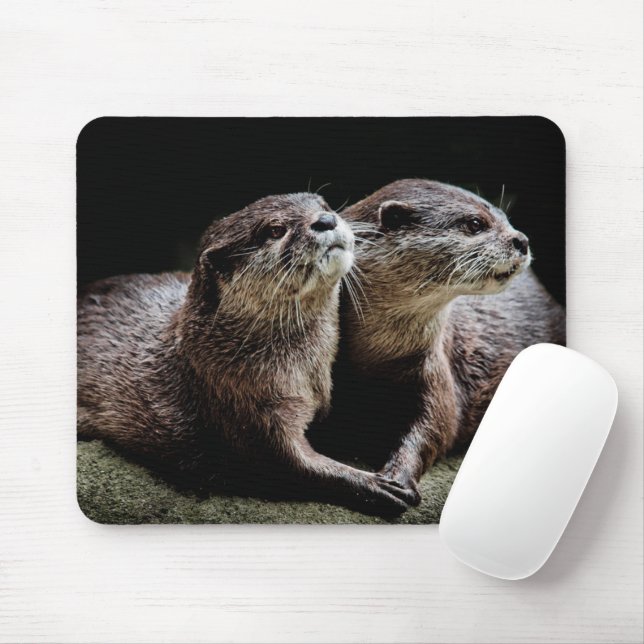 Niedliche Kleintiere | Andere Haltevorrichtungen Mousepad (Mit Mouse)
