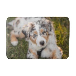 Niedliche Kleintiere   Australian Shepherd Puppy Badematte