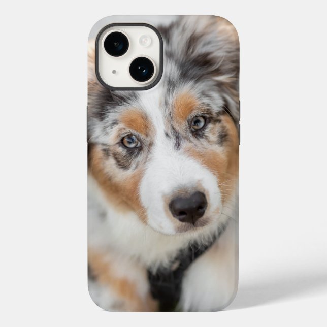 Niedliche Kleintiere | Australian Shepherd Puppy Case-Mate iPhone Hülle (Rückseite)