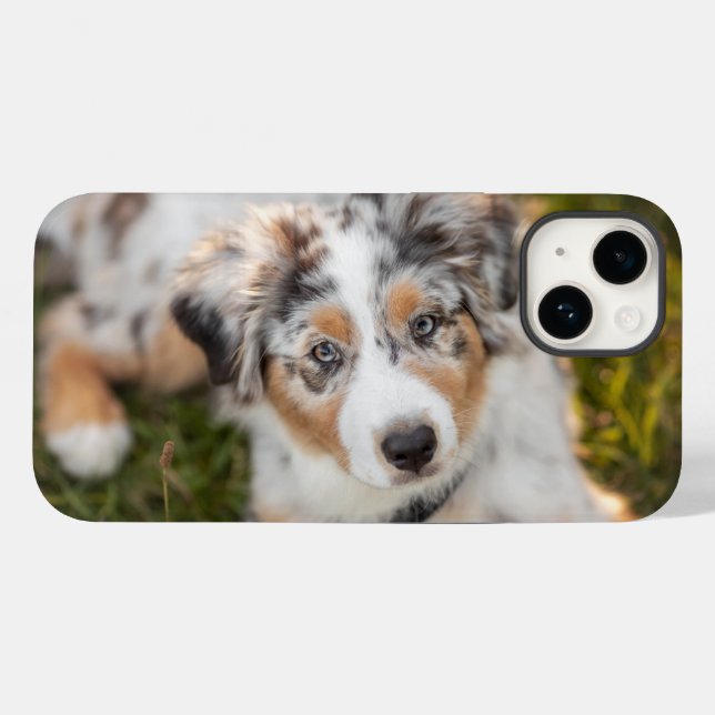 Niedliche Kleintiere | Australian Shepherd Puppy Case-Mate iPhone Hülle (Rückseite (Horizontal))