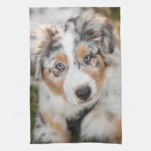 Niedliche Kleintiere Australian Shepherd Puppy Geschirrtuch