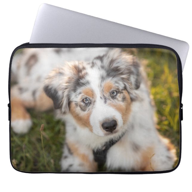 Niedliche Kleintiere | Australian Shepherd Puppy Laptopschutzhülle (Vorderseite)