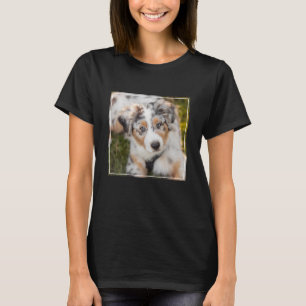 Niedliche Kleintiere   Australian Shepherd Puppy T-Shirt