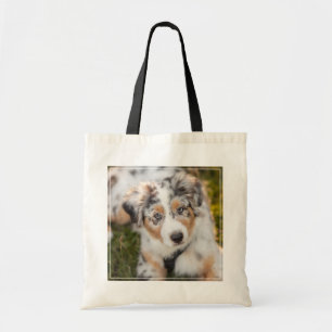 Niedliche Kleintiere   Australian Shepherd Puppy Tragetasche