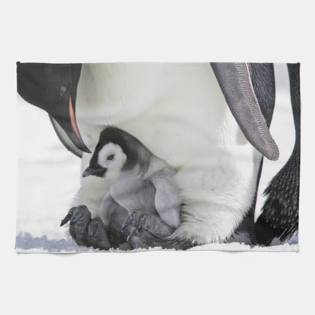 Niedliche Kleintiere | Babemann Penguin Geschirrtuch (Horizontal)