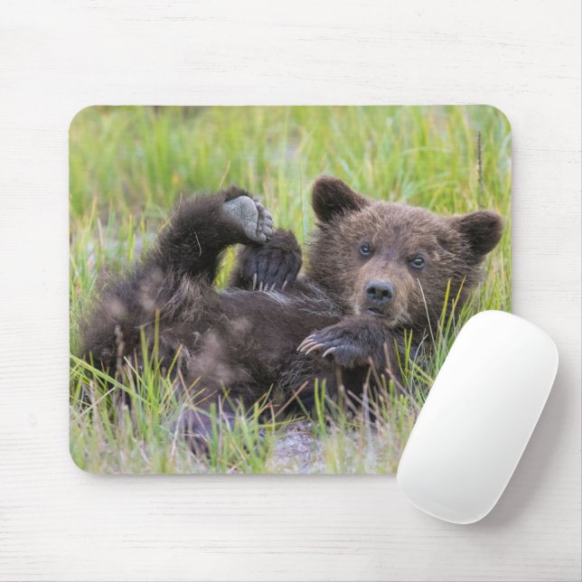 Niedliche Kleintiere | Baby Brown Bear Cube Mousepad (Mit Mouse)
