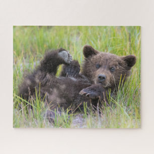 Niedliche Kleintiere   Baby Brown Bear Cube Puzzle