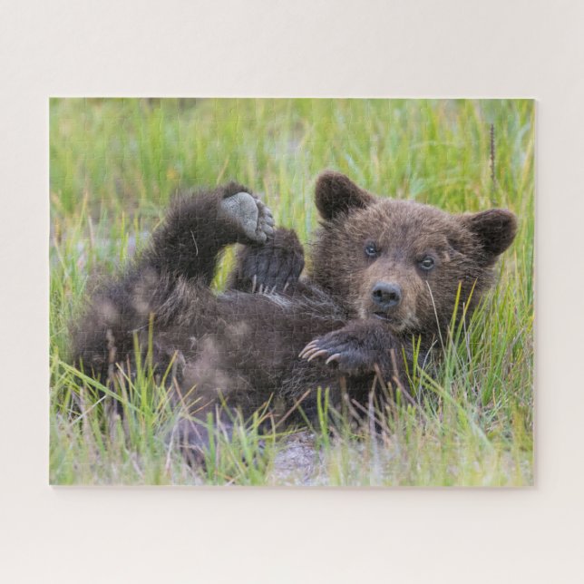 Niedliche Kleintiere | Baby Brown Bear Cube Puzzle (Horizontal)