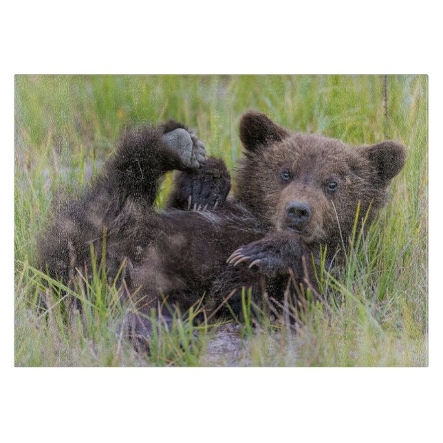 Niedliche Kleintiere | Baby Brown Bear Cube Schneidebrett (Vorderseite)