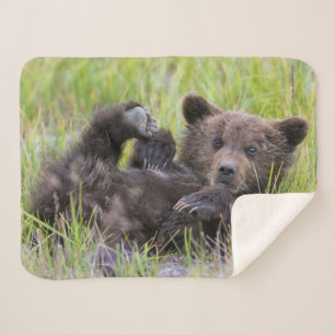 Niedliche Kleintiere   Baby Brown Bear Cube Sherpadecke