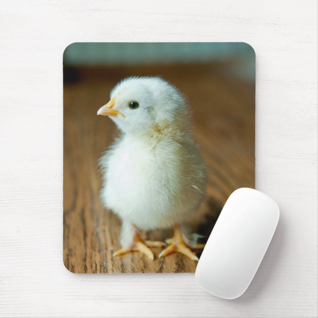 Niedliche Kleintiere | Baby Chick Mousepad (Mit Mouse)