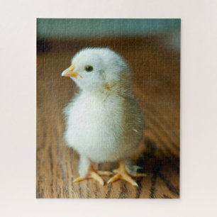 Niedliche Kleintiere   Baby Chick Puzzle