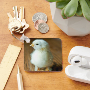 Niedliche Kleintiere   Baby Chick Schlüsselanhänger