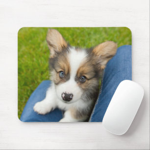 Niedliche Kleintiere   Baby Corgi in My Lap Mousepad