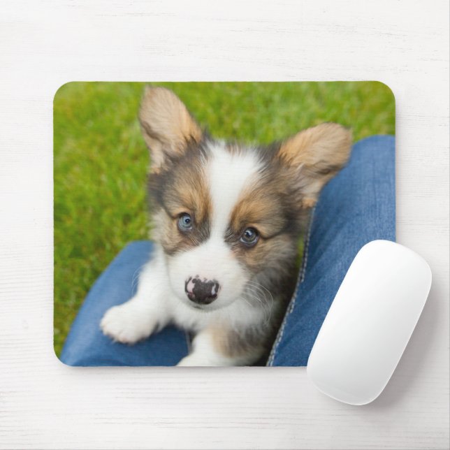 Niedliche Kleintiere | Baby Corgi in My Lap Mousepad (Mit Mouse)