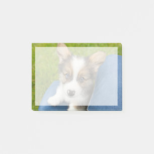Niedliche Kleintiere Baby Corgi in My Lap Post-it Klebezettel