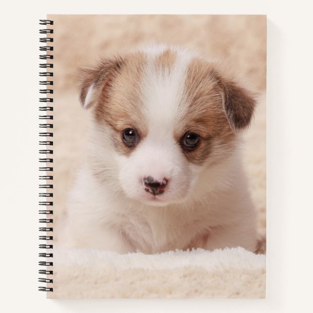 Niedliche Kleintiere | Baby Corgi Notizbuch (Vorderseite)