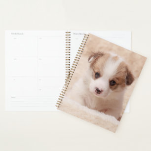 Niedliche Kleintiere Baby Corgi Planer