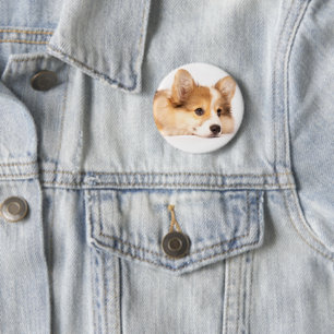 Niedliche Kleintiere   Baby Corgi Puppy Portrait Button