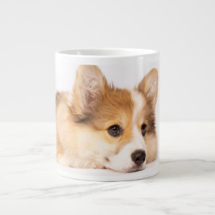 Niedliche Kleintiere   Baby Corgi Puppy Portrait Jumbo-Tasse