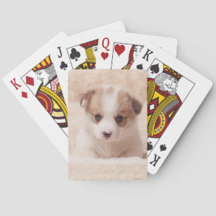 Niedliche Kleintiere Baby Corgi Spielkarten