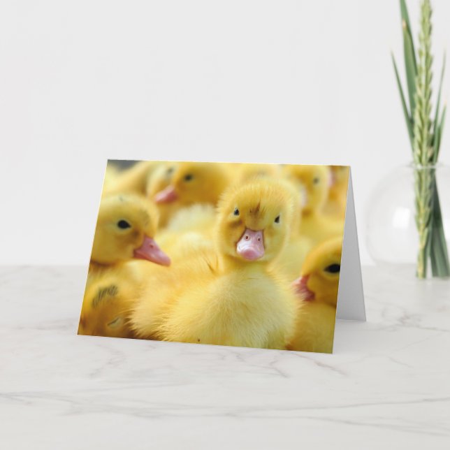 Niedliche Kleintiere | Baby Duck Group Karte (Vorderseite)