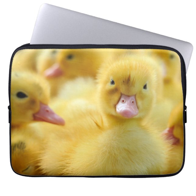 Niedliche Kleintiere | Baby Duck Group Laptopschutzhülle (Vorderseite)