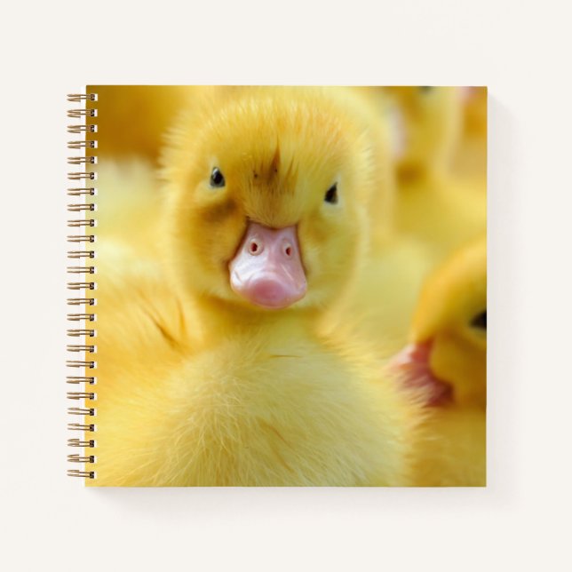 Niedliche Kleintiere | Baby Duck Group Notizbuch (Vorderseite)
