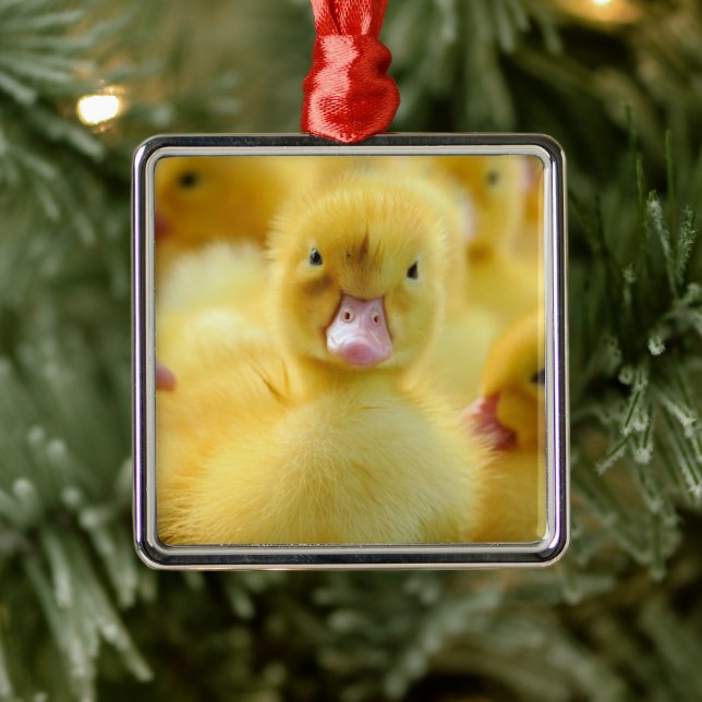 Niedliche Kleintiere | Baby Duck Group Ornament Aus Metall (Baum)