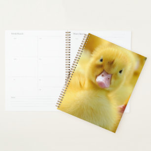 Niedliche Kleintiere Baby Duck Group Planer