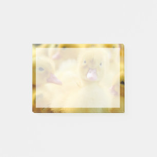 Niedliche Kleintiere Baby Duck Group Post-it Klebezettel