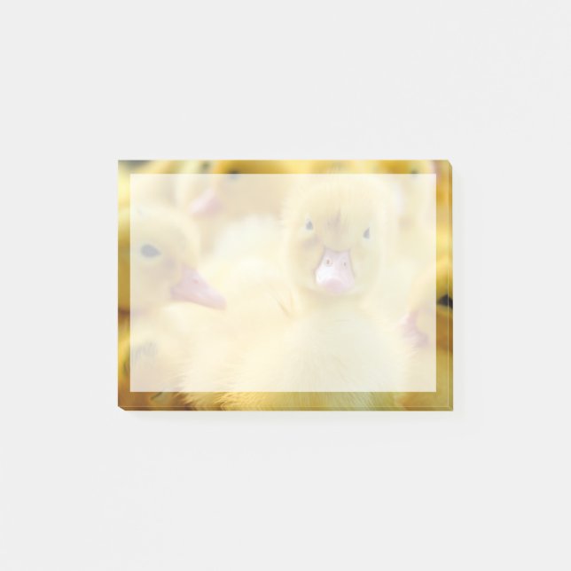 Niedliche Kleintiere | Baby Duck Group Post-it Klebezettel (Vorderseite)
