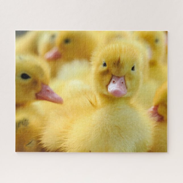 Niedliche Kleintiere | Baby Duck Group Puzzle (Horizontal)